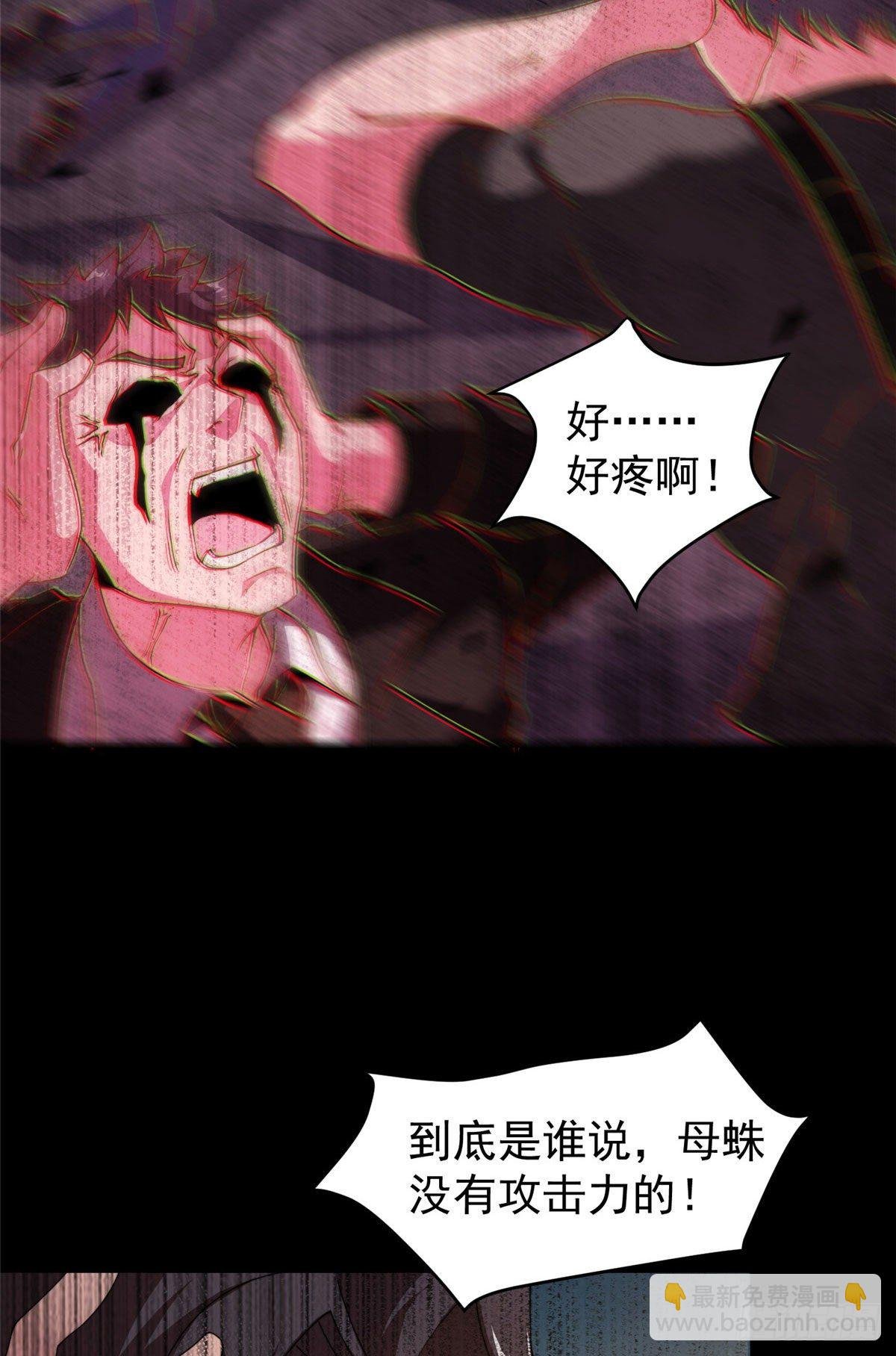 019 母蛛