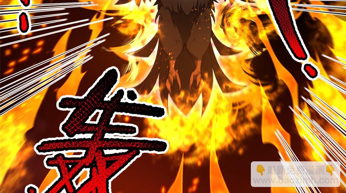 220 九幽冥雀