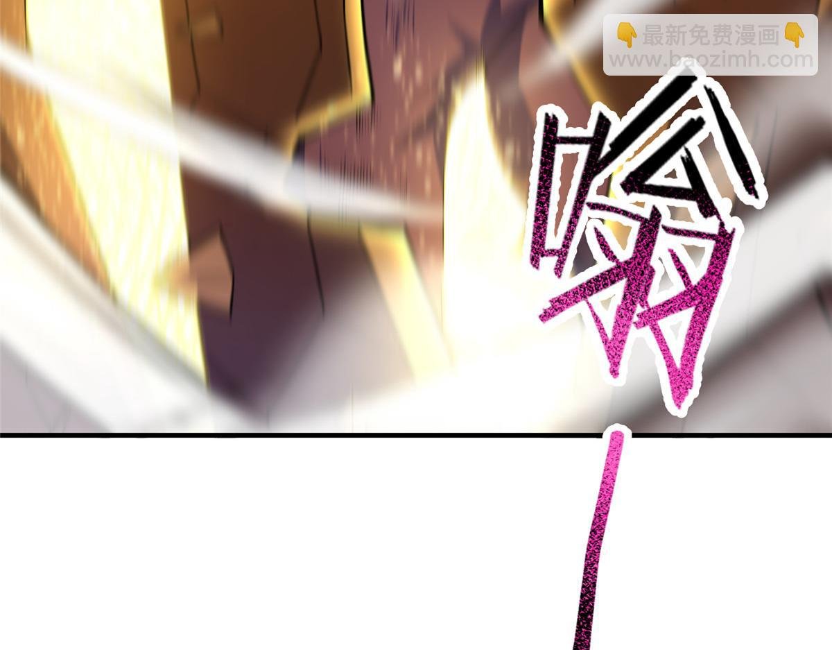 229 金刚神武鸭