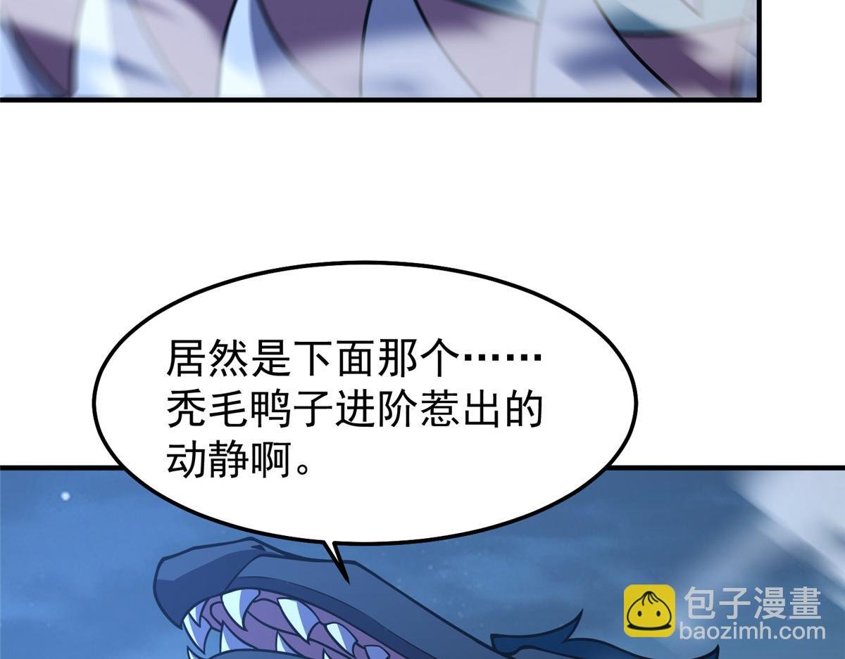 229 金刚神武鸭