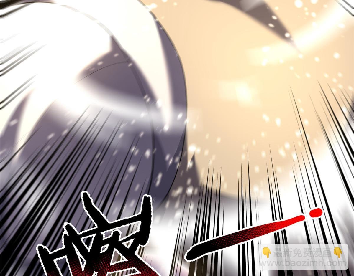 229 金刚神武鸭