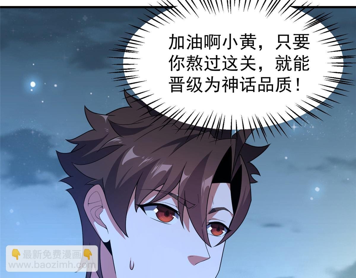 229 金刚神武鸭