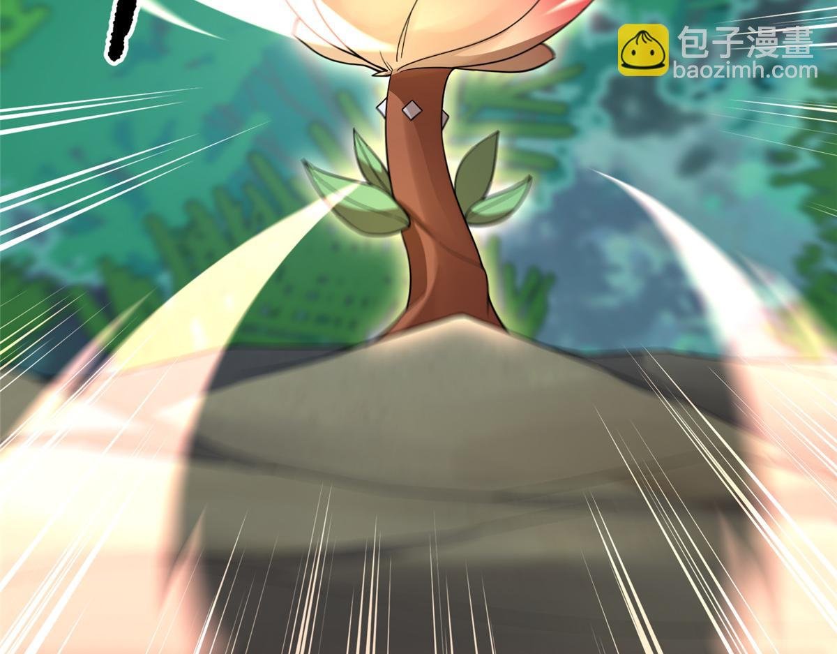 251 神境寻宝