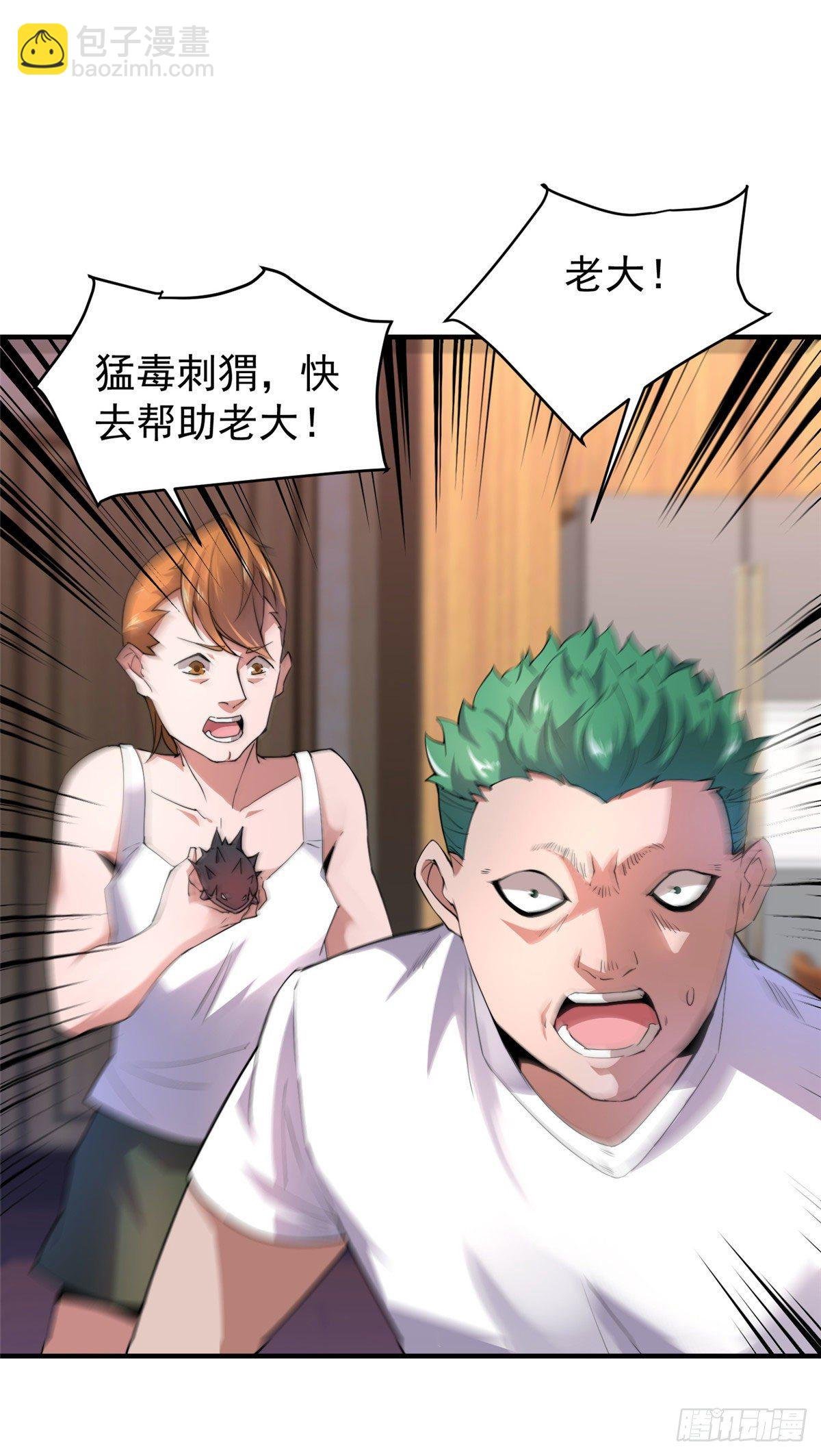 023 薄荷猫