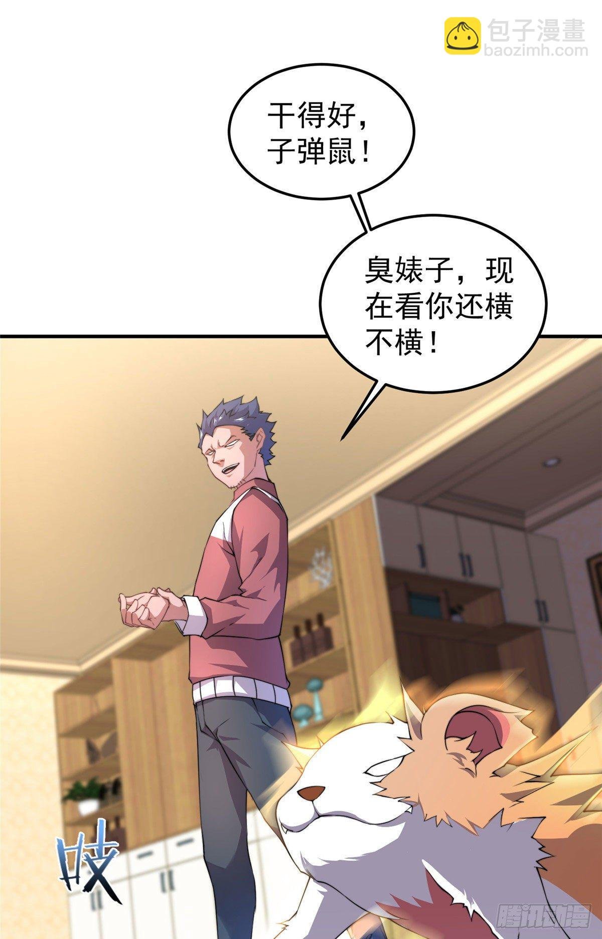 023 薄荷猫