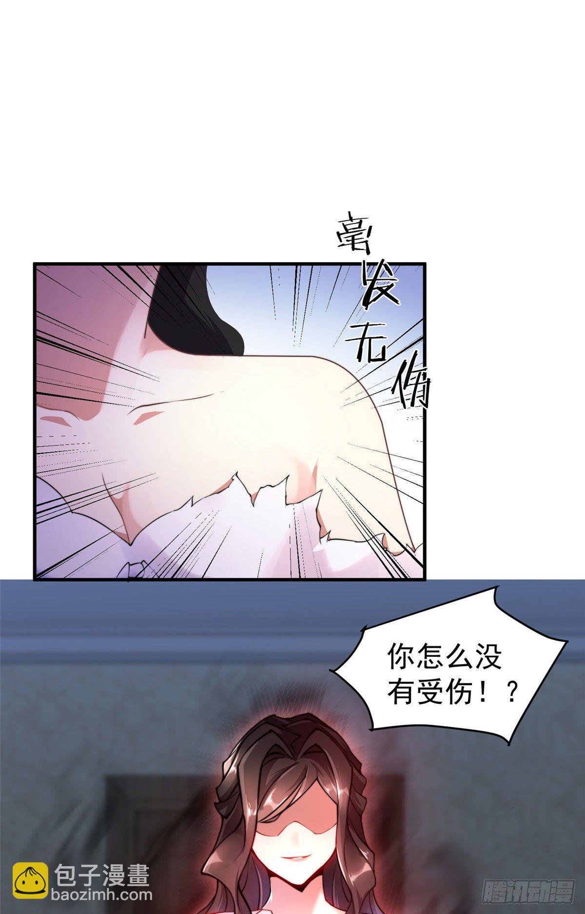 023 薄荷猫