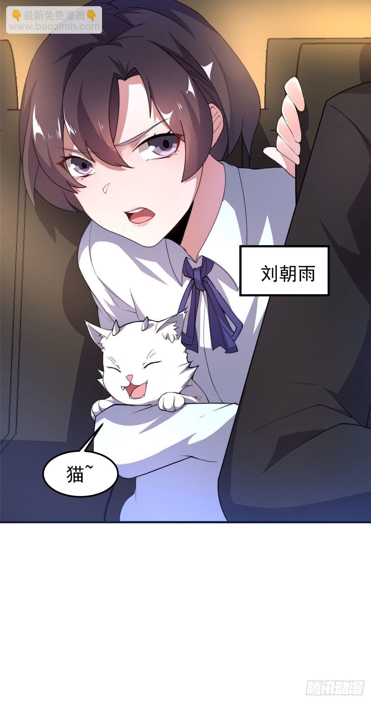 023 薄荷猫