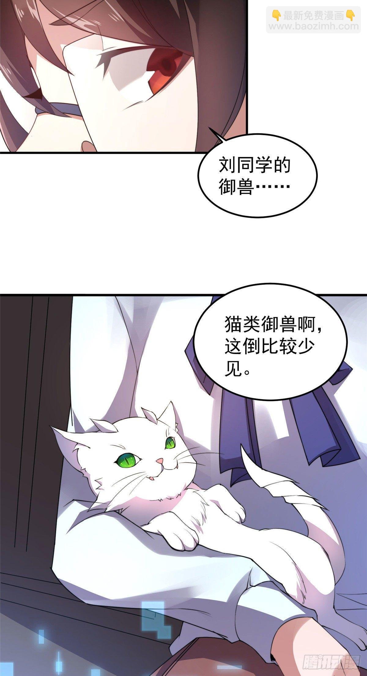 023 薄荷猫