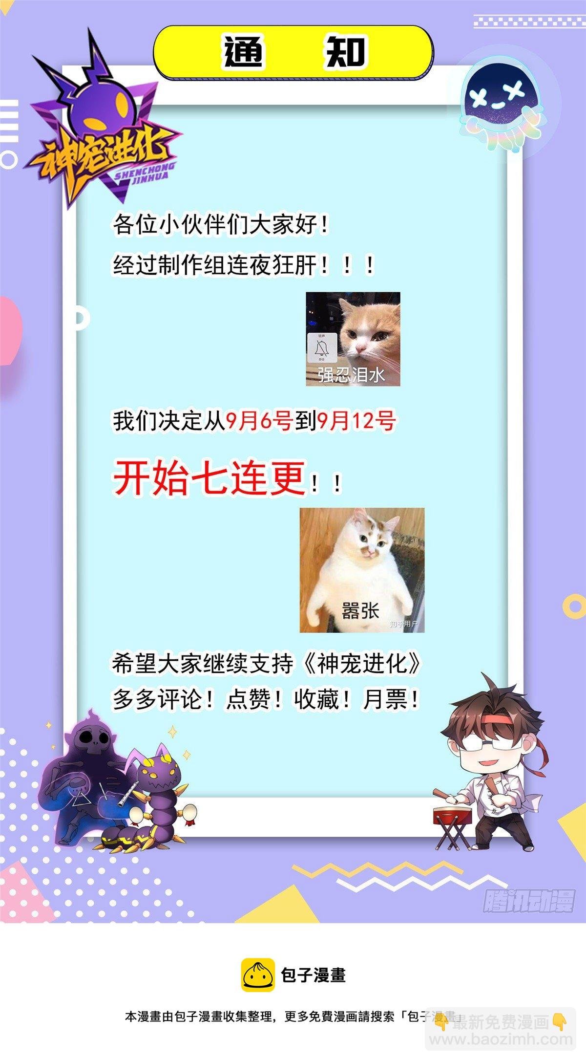 023 薄荷猫