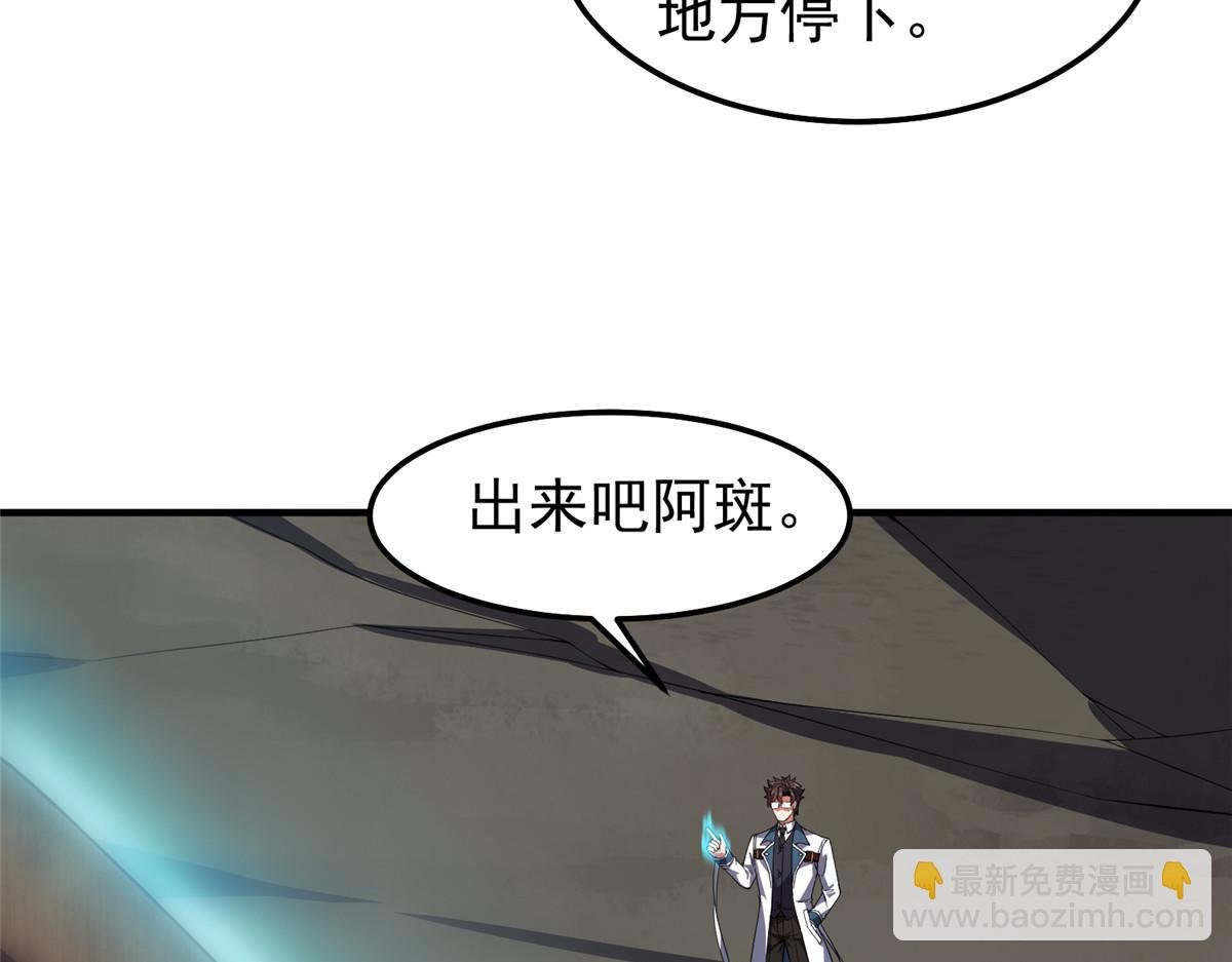 255 融合