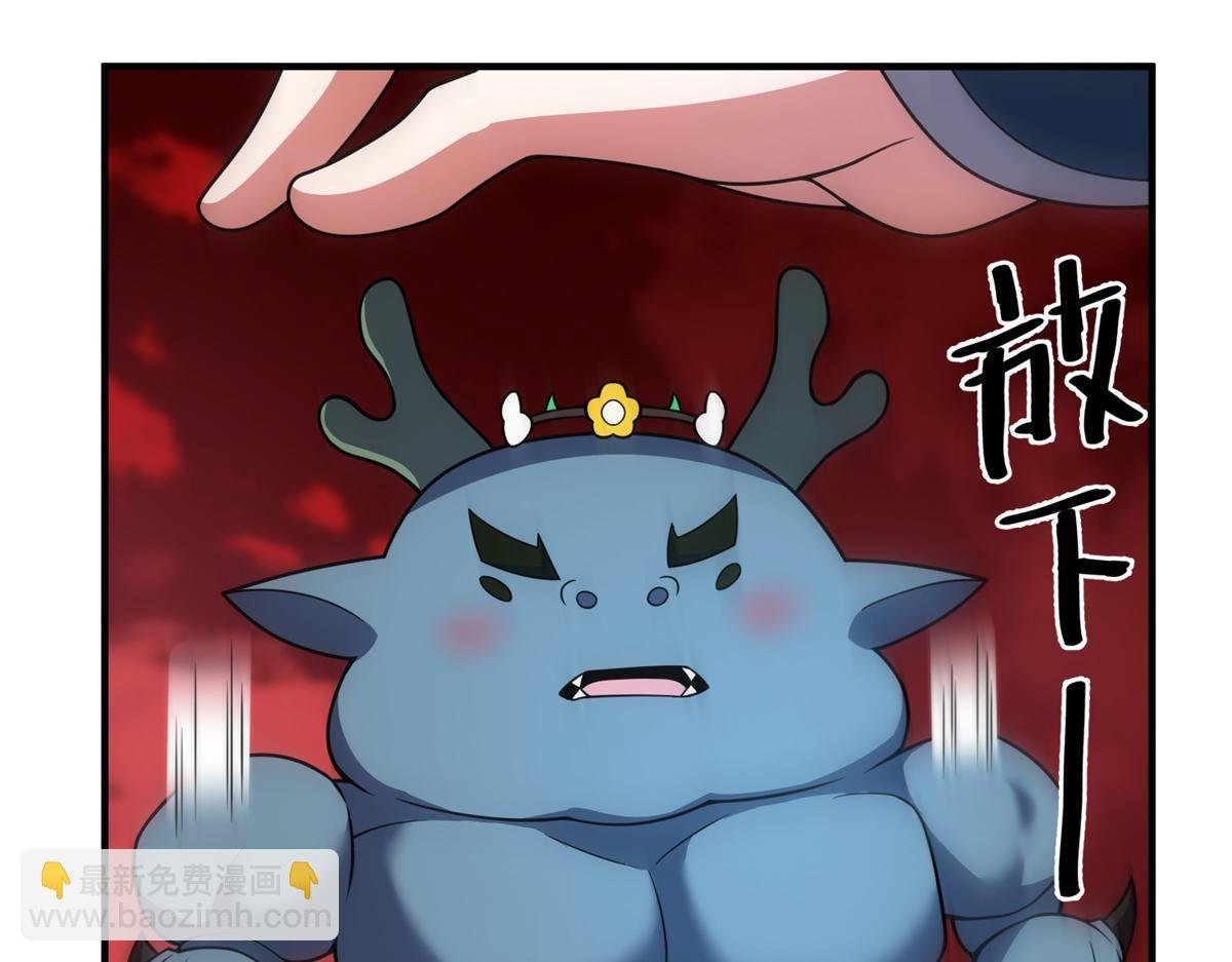 255 融合