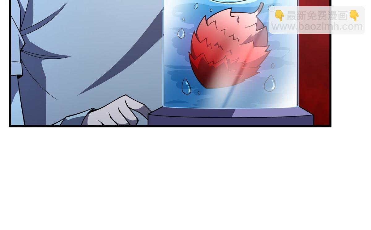 255 融合