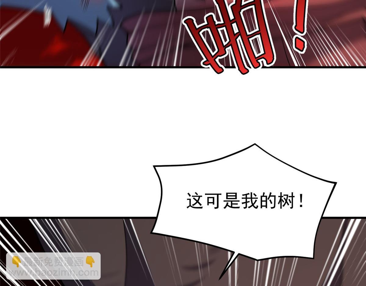 255 融合