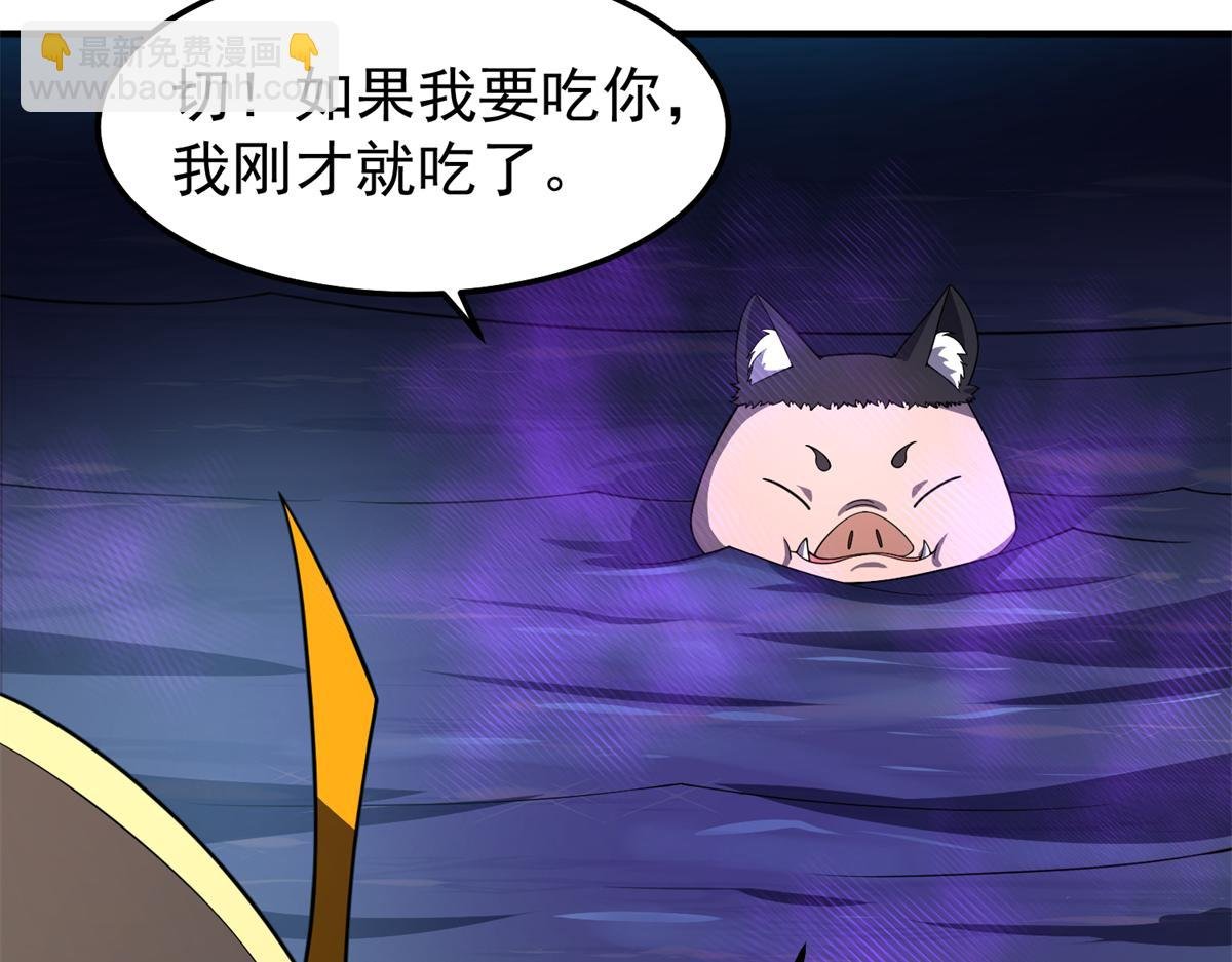 268 本元猪