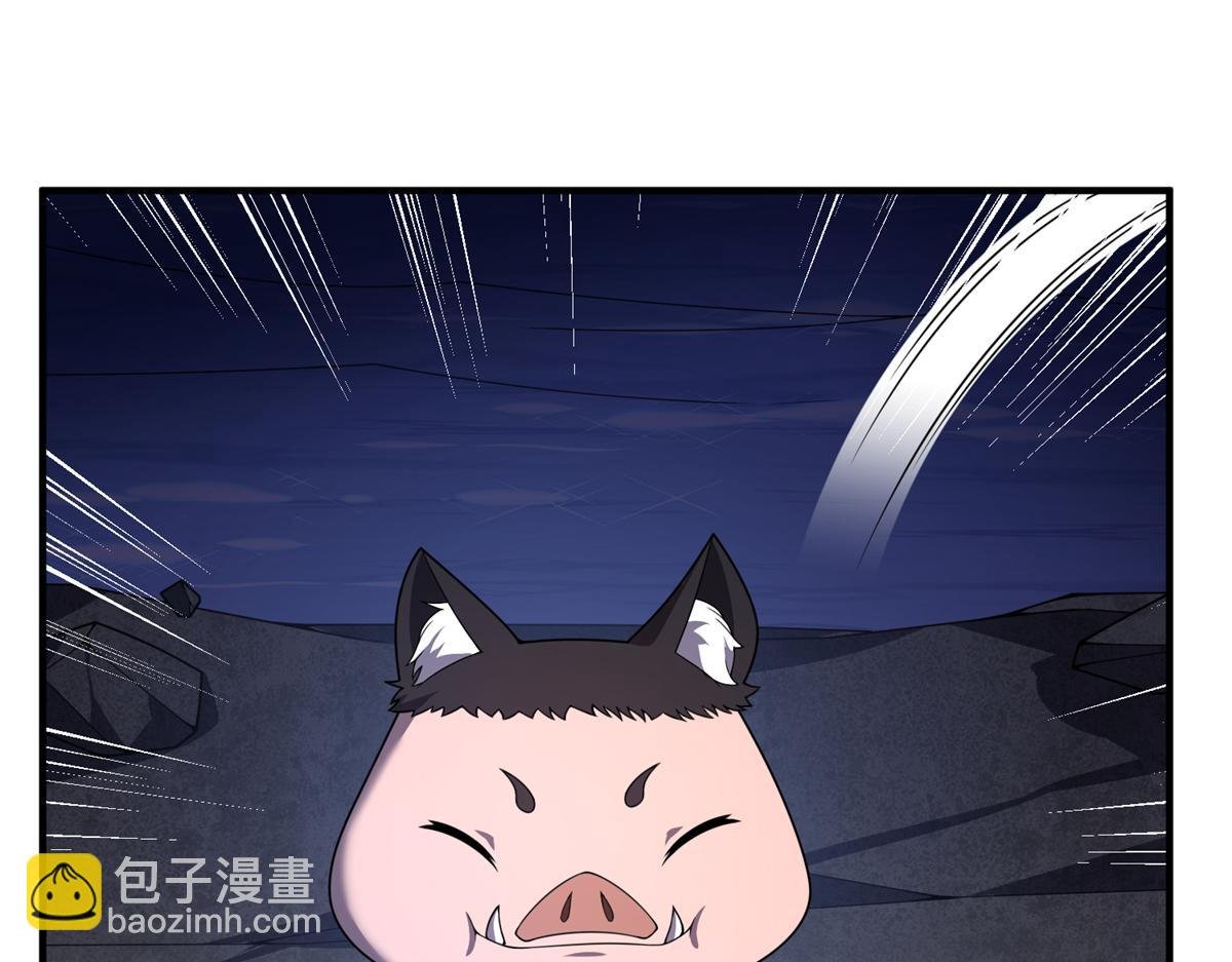 268 本元猪