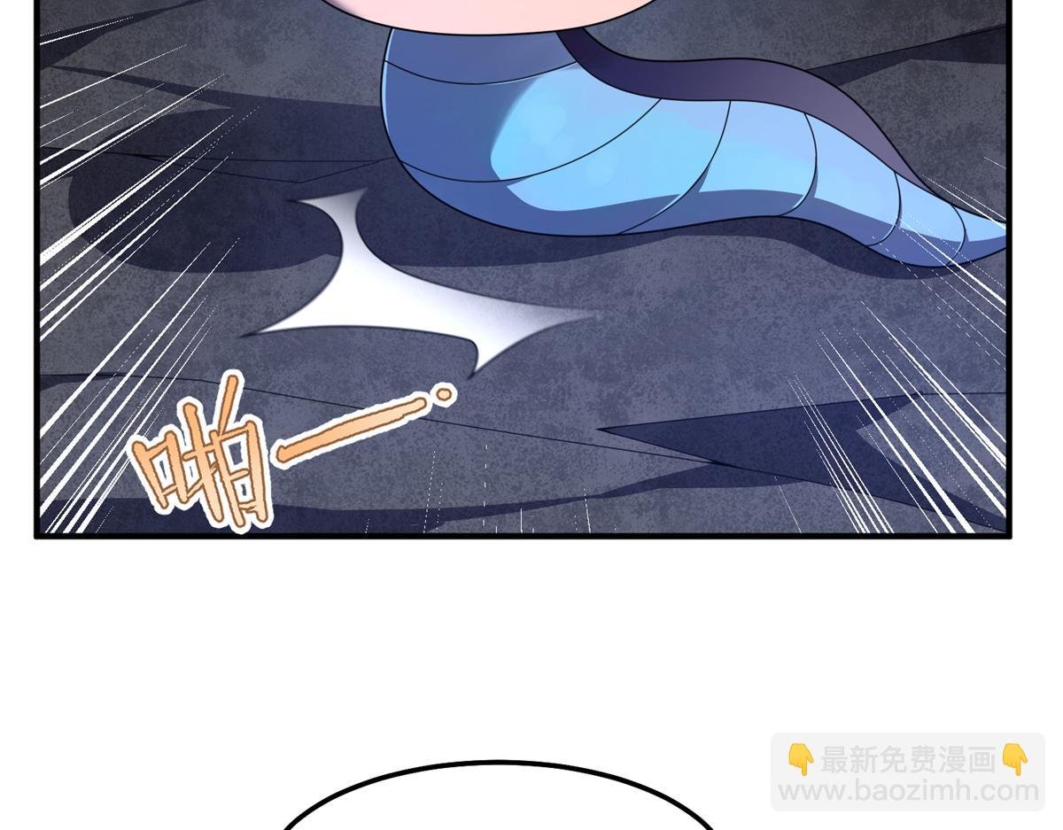 268 本元猪