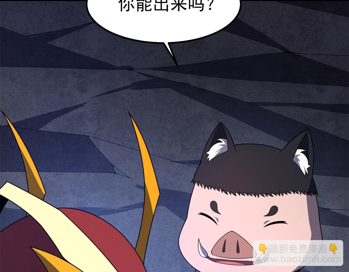 268 本元猪