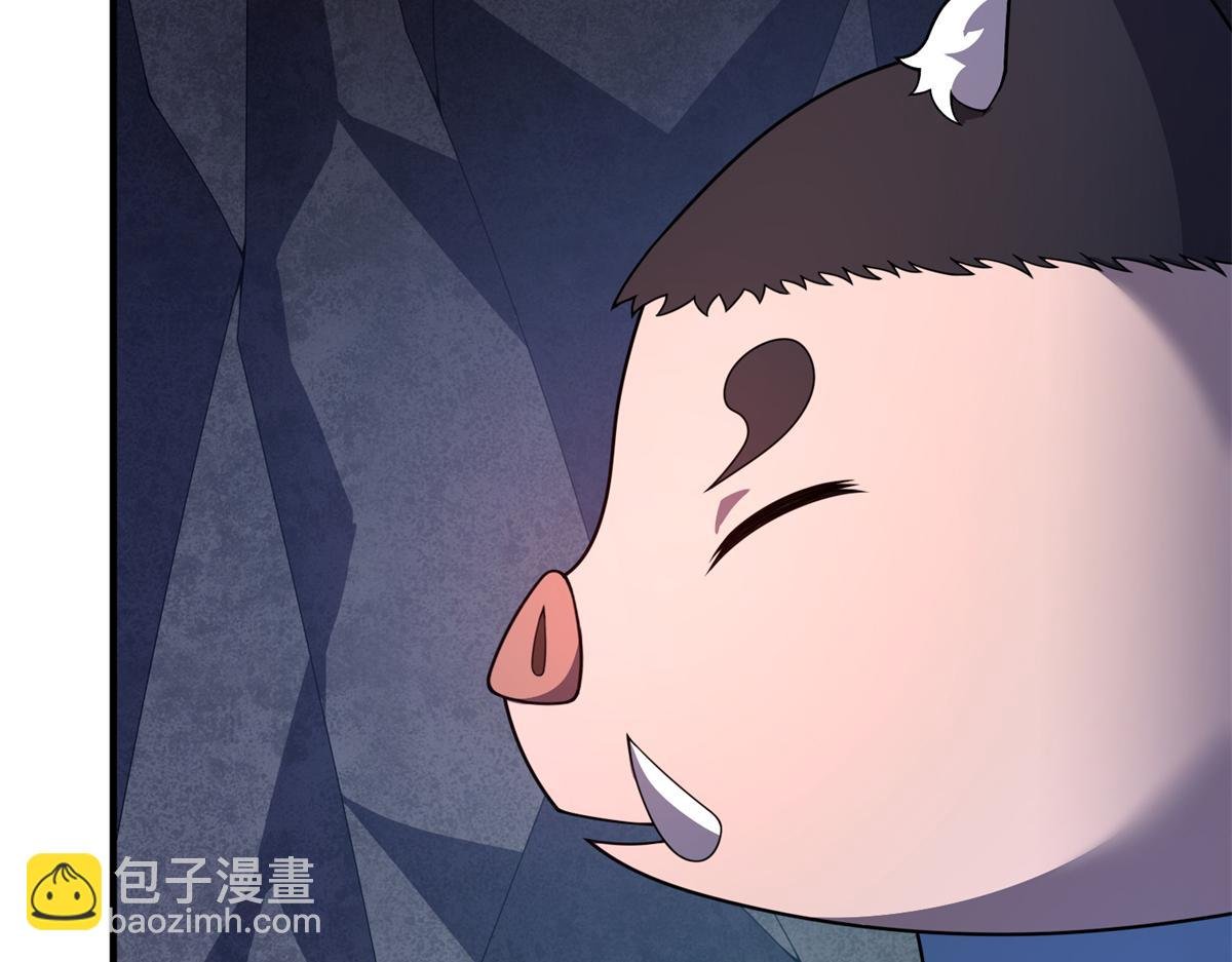 268 本元猪