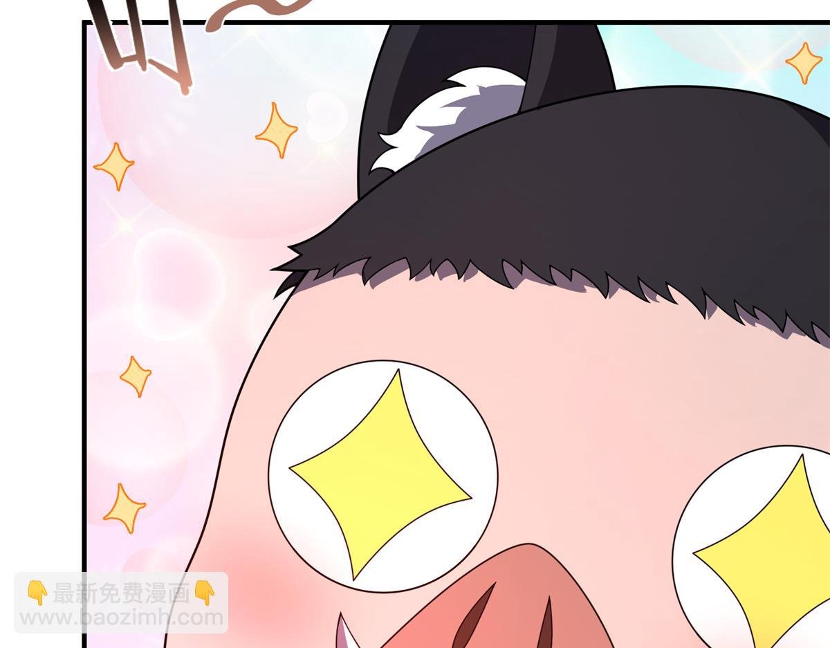 268 本元猪