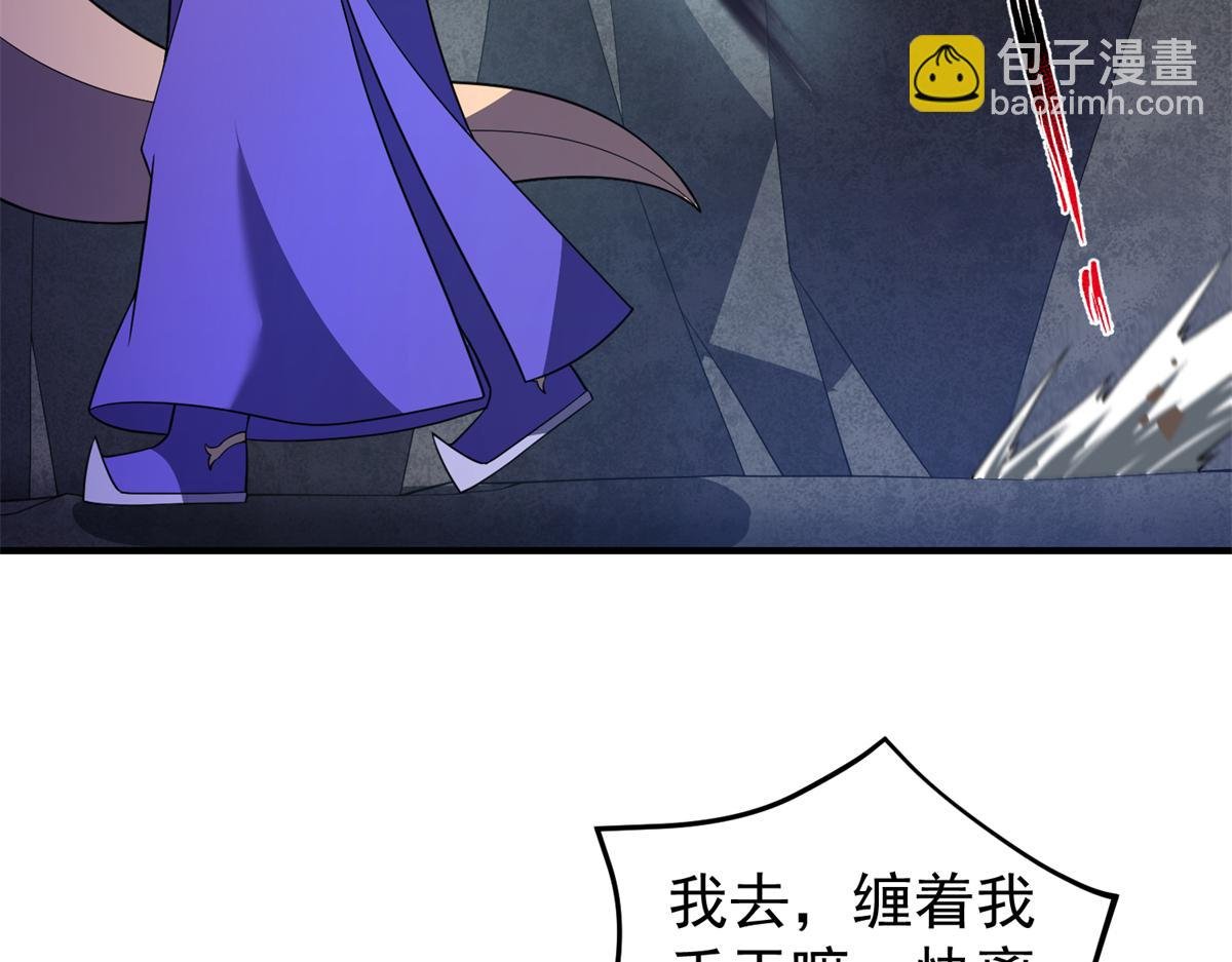 268 本元猪
