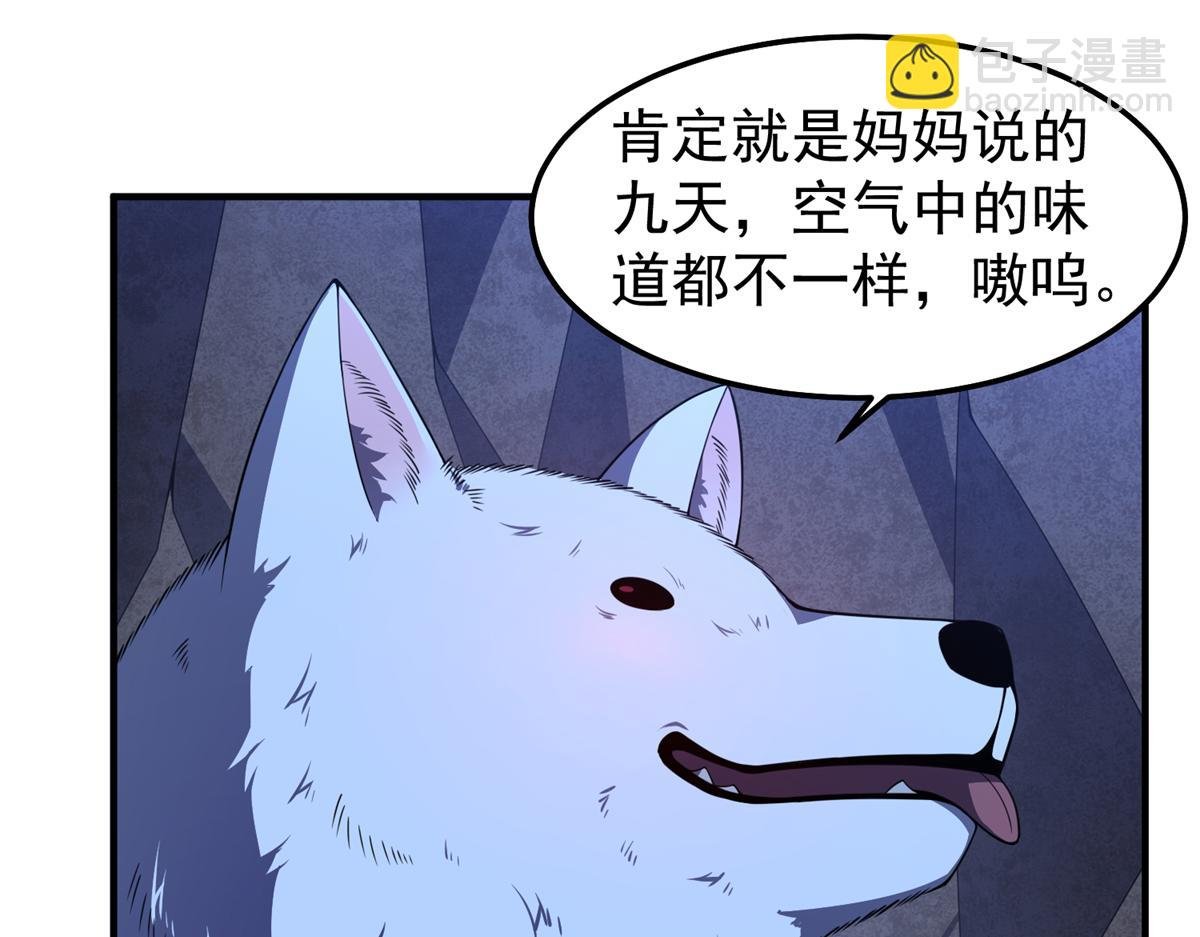 276 三头傻狗