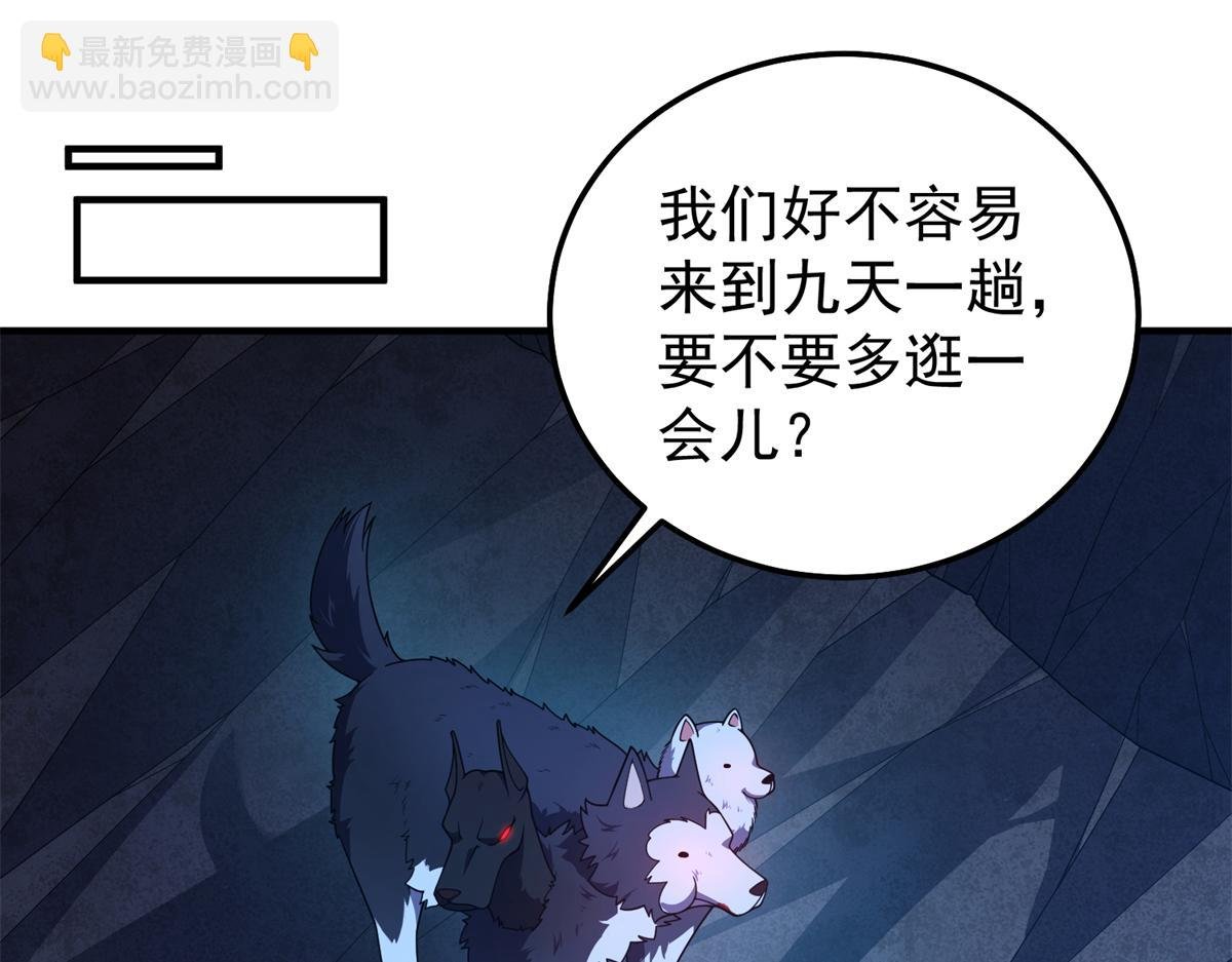 276 三头傻狗