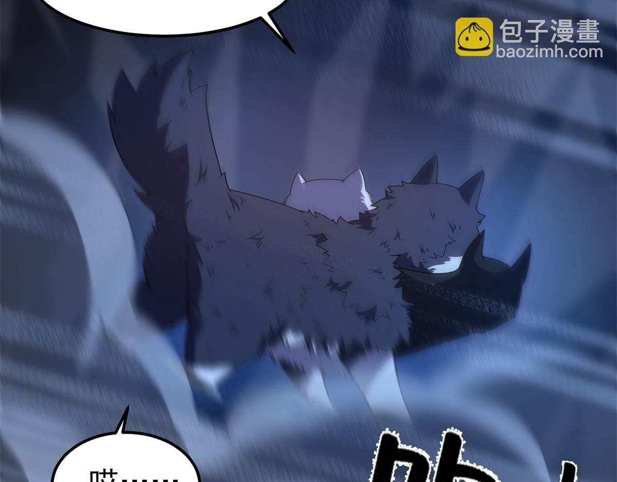 276 三头傻狗