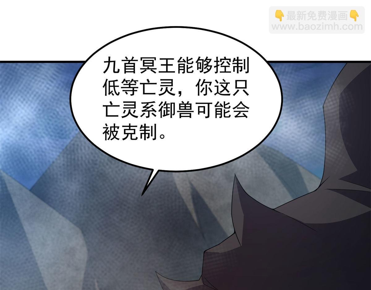 290 新的王