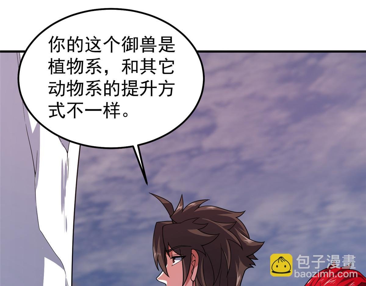 295 烧烤魔鬼衫