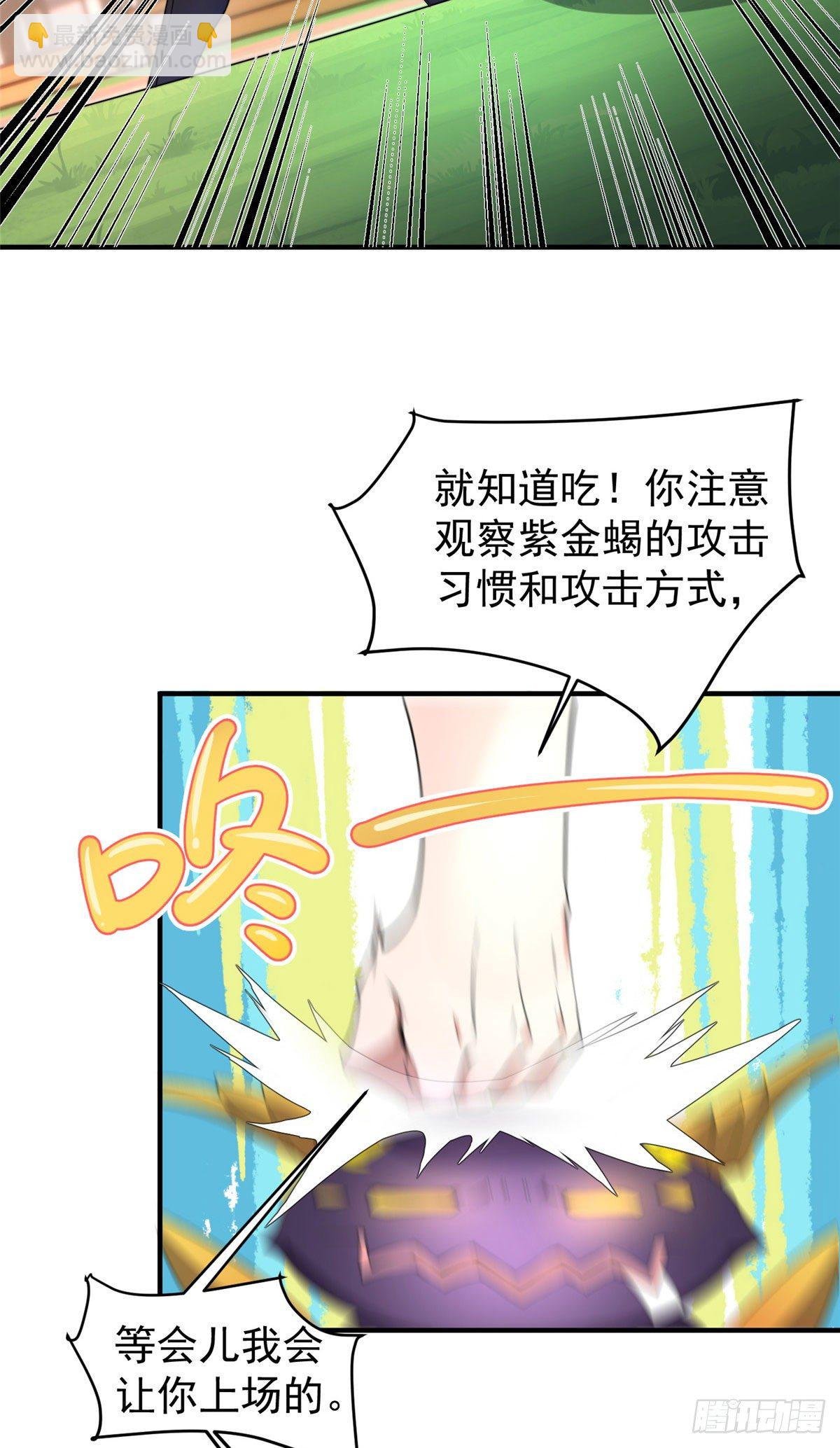 028 鸡婆龙