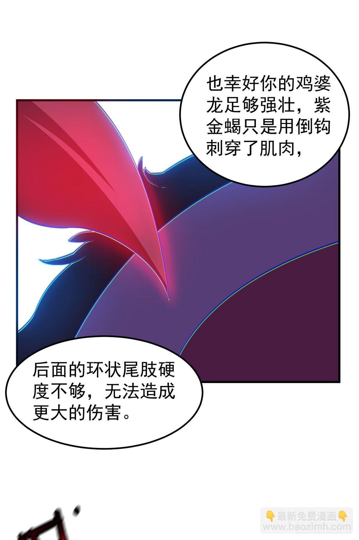028 鸡婆龙