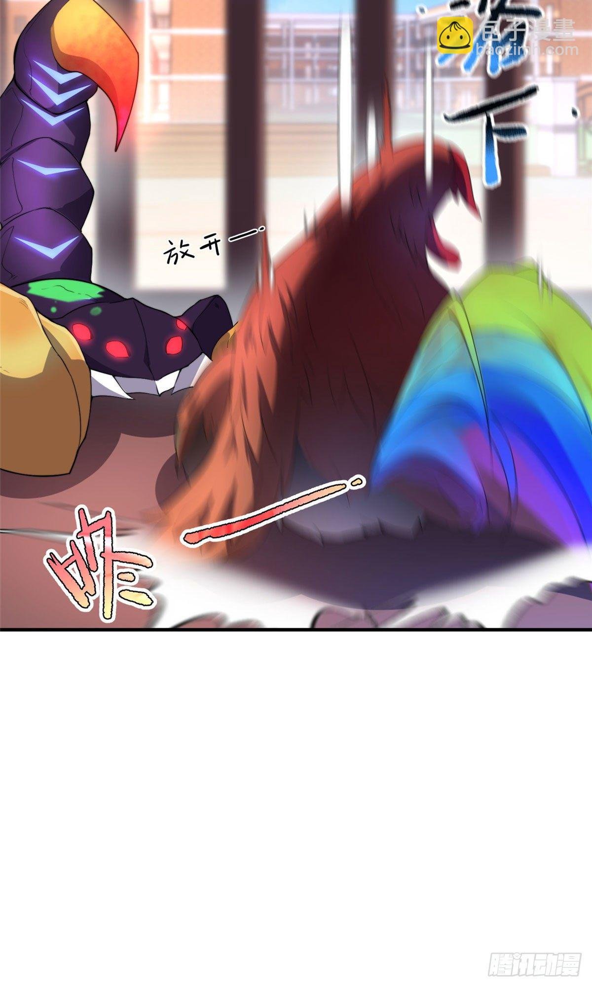 029 紫背雷蜈VS紫金蝎