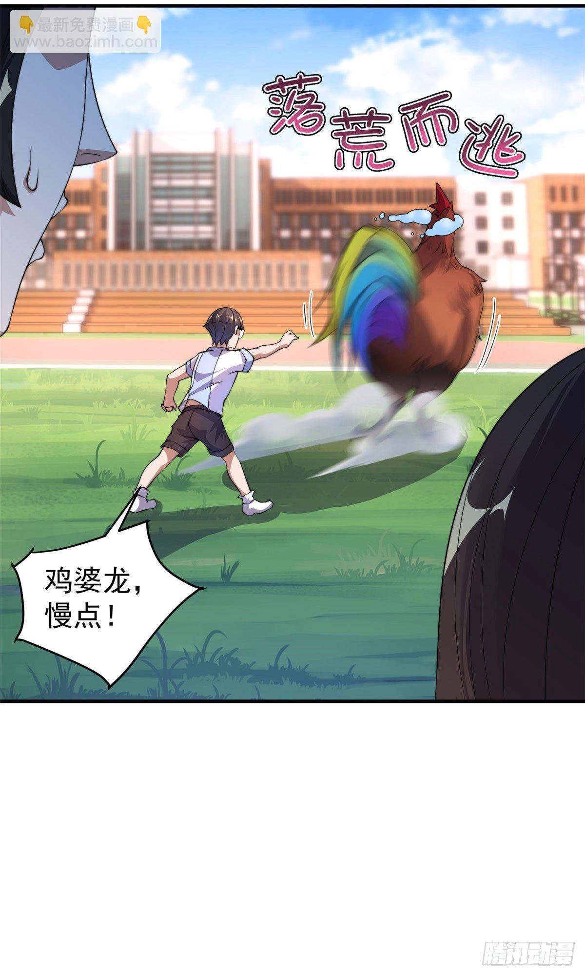 029 紫背雷蜈VS紫金蝎