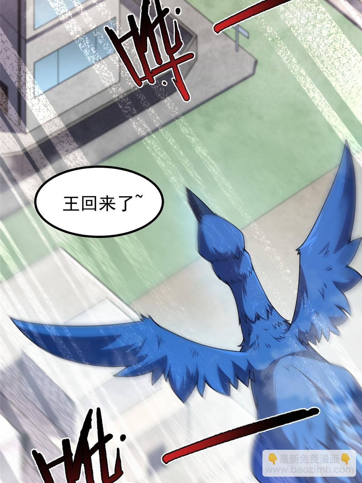 327 御兽的宠物