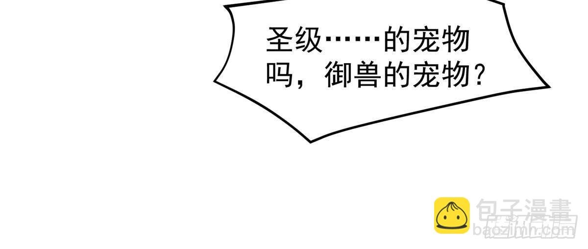 327 御兽的宠物