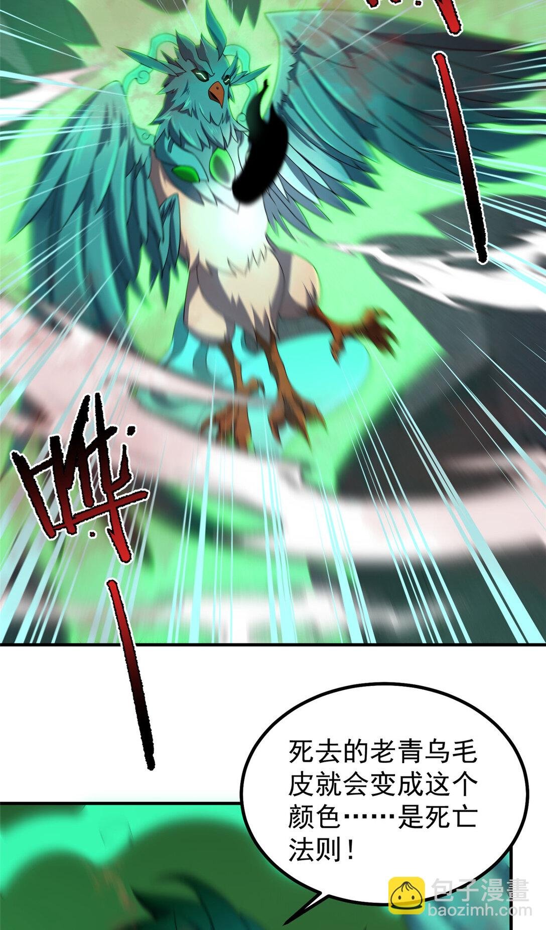 343 永恒青乌