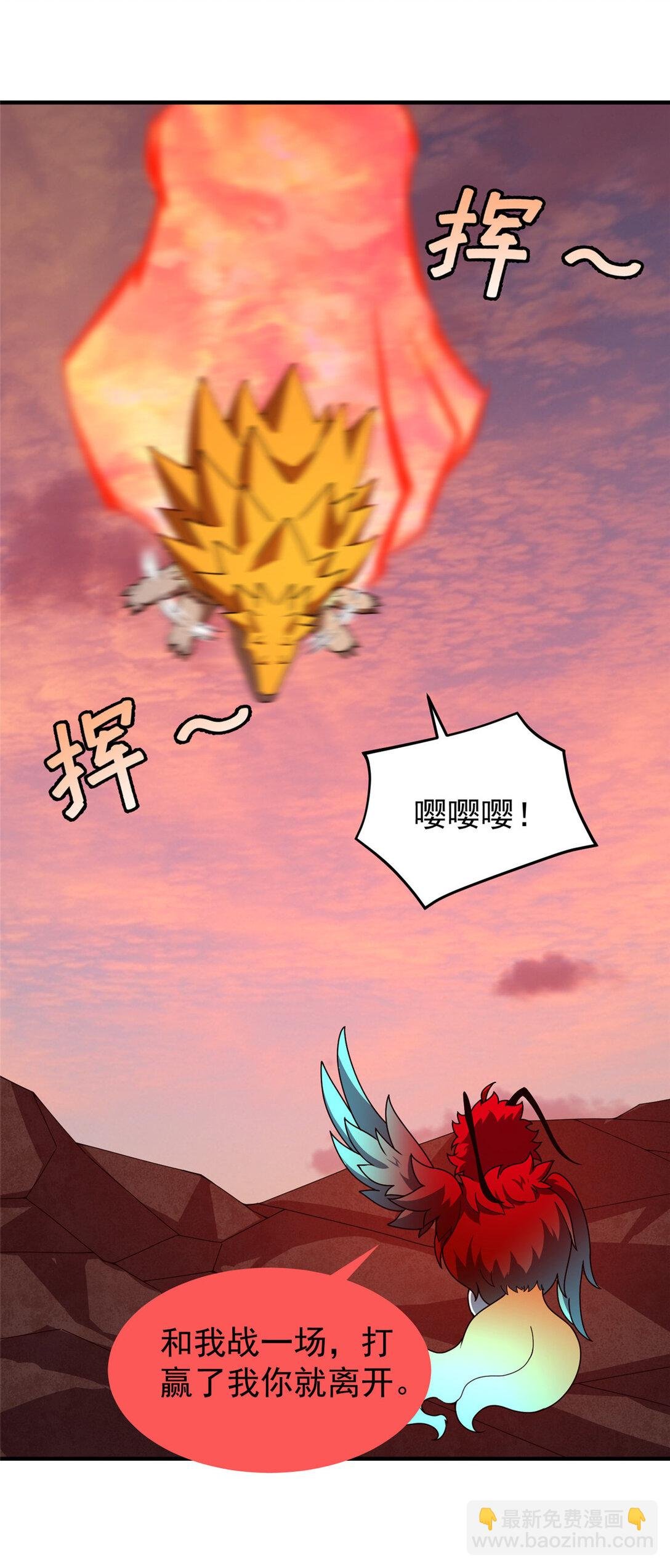 347 这鸟太凶残