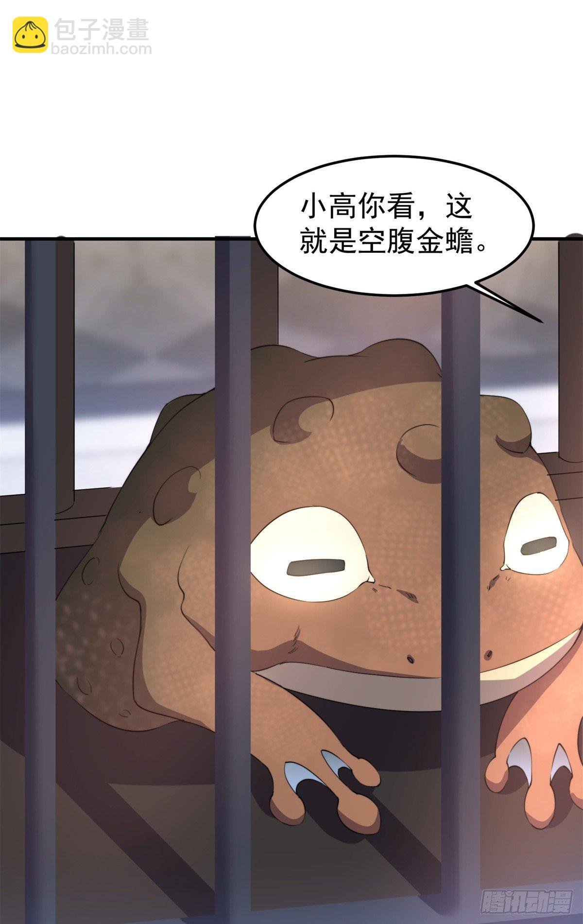 037 空腹金蟾