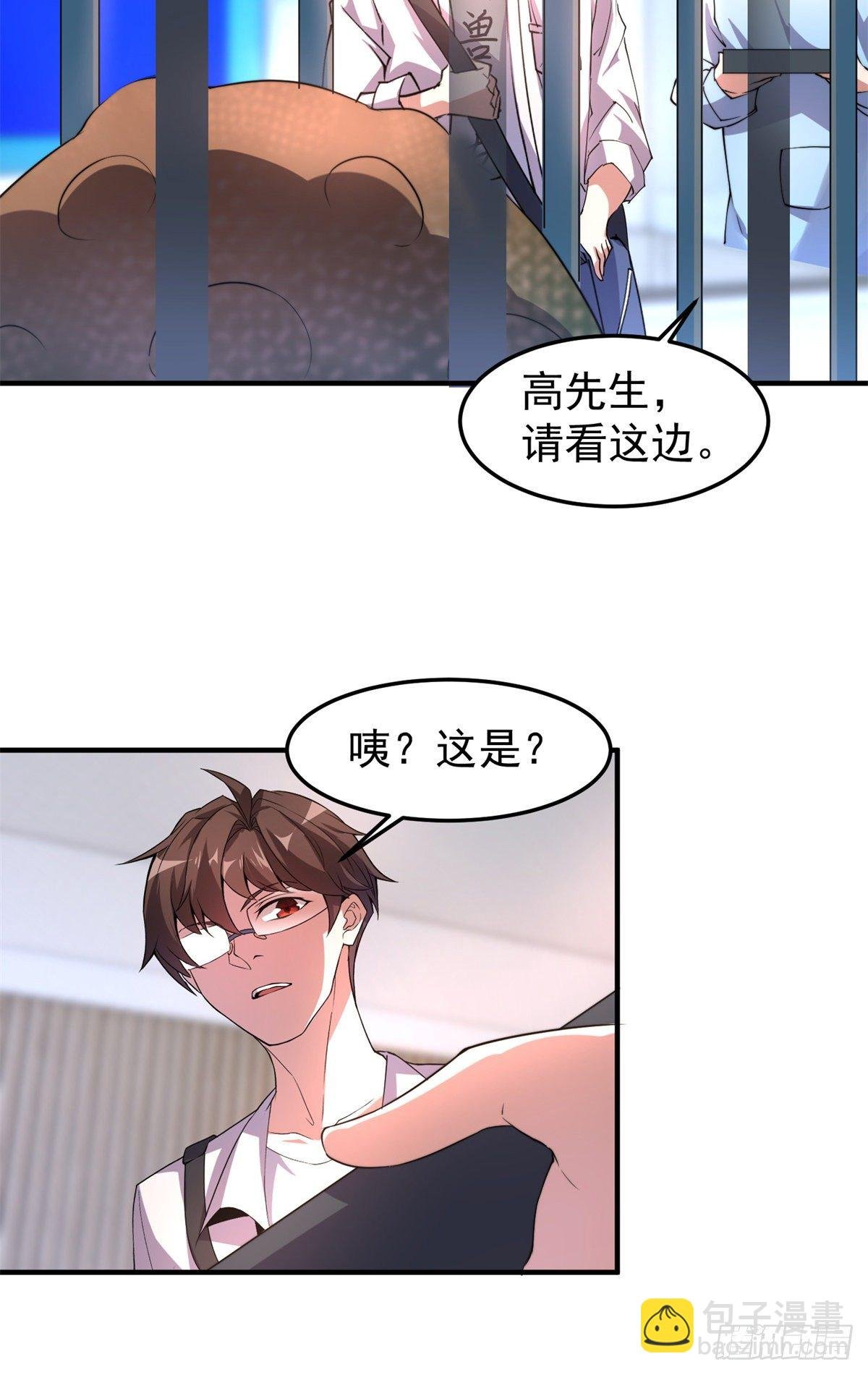 037 空腹金蟾