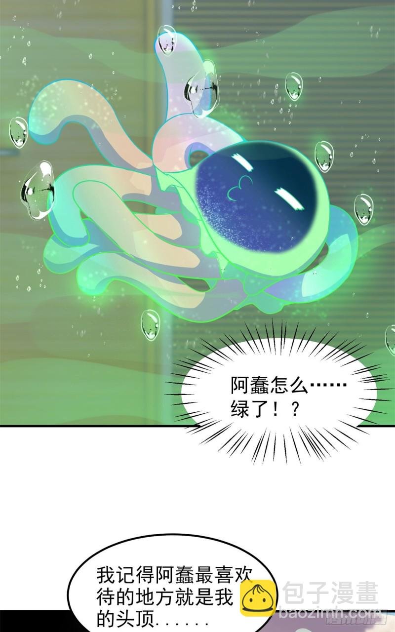 050 我的帽子进化了