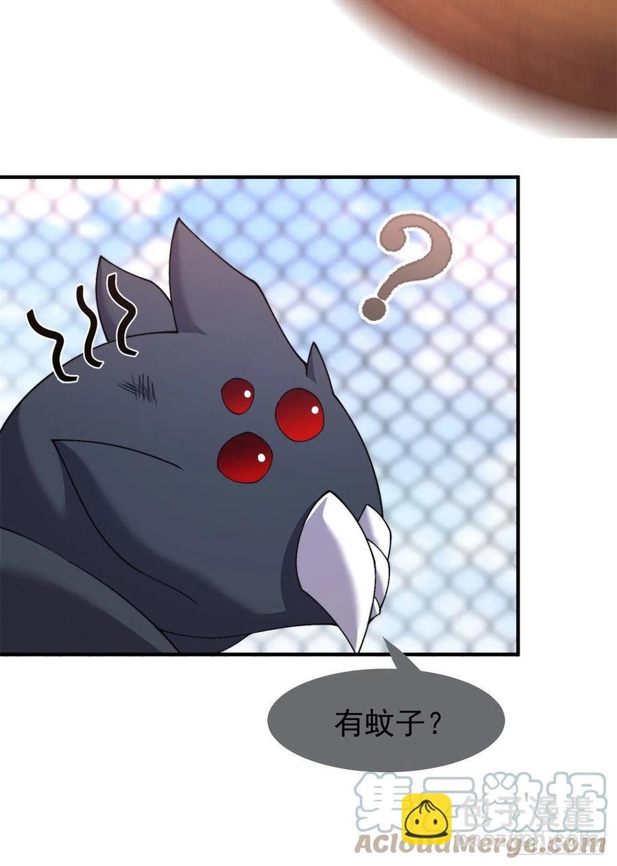 63 枯叶螳螂