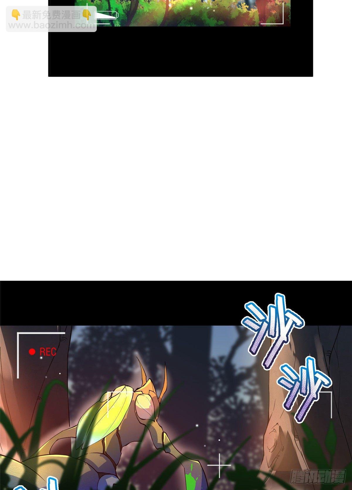 004 文试打脸
