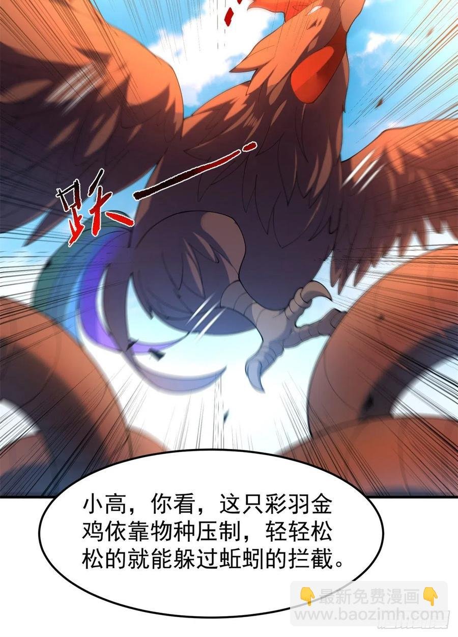 73 幻影龙蜥