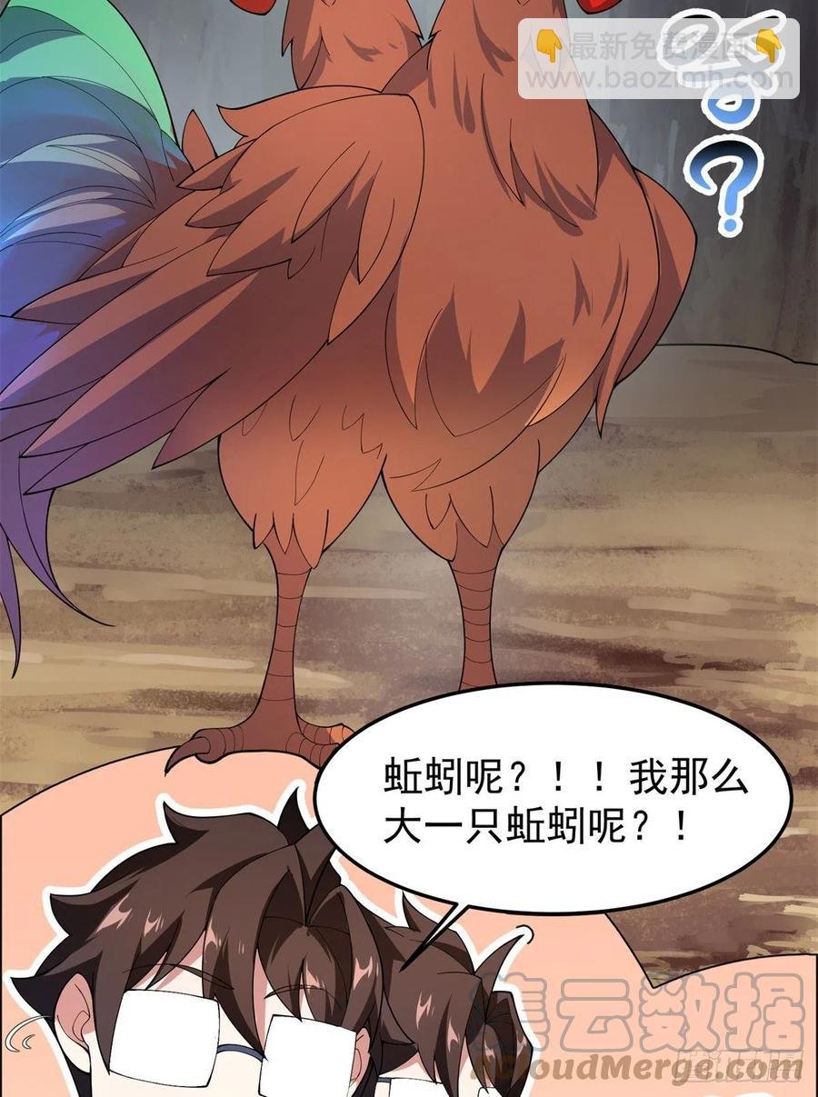 73 幻影龙蜥