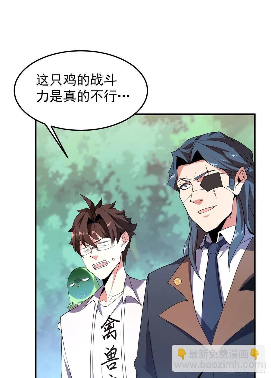 73 幻影龙蜥