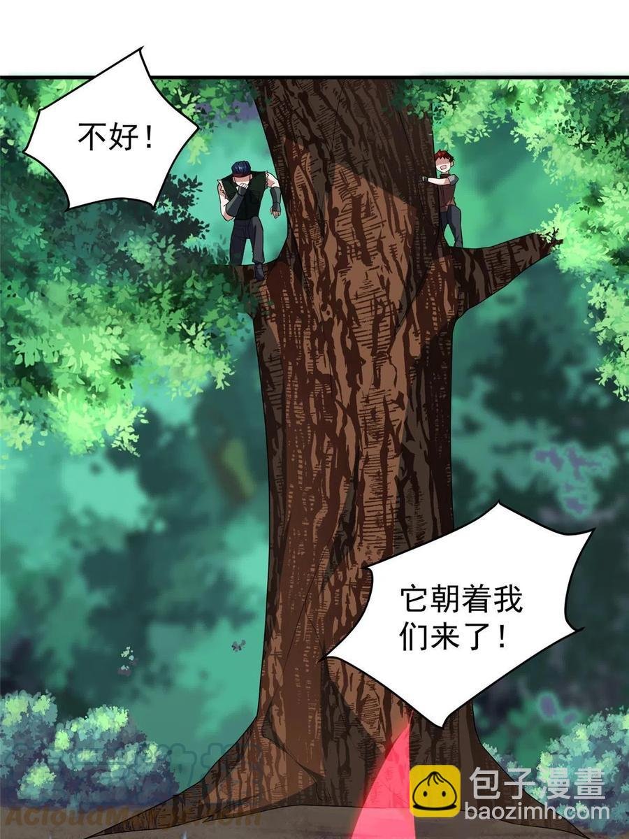 80 龙血红砂鲤