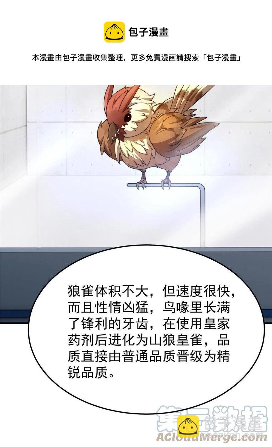 85 雷公
