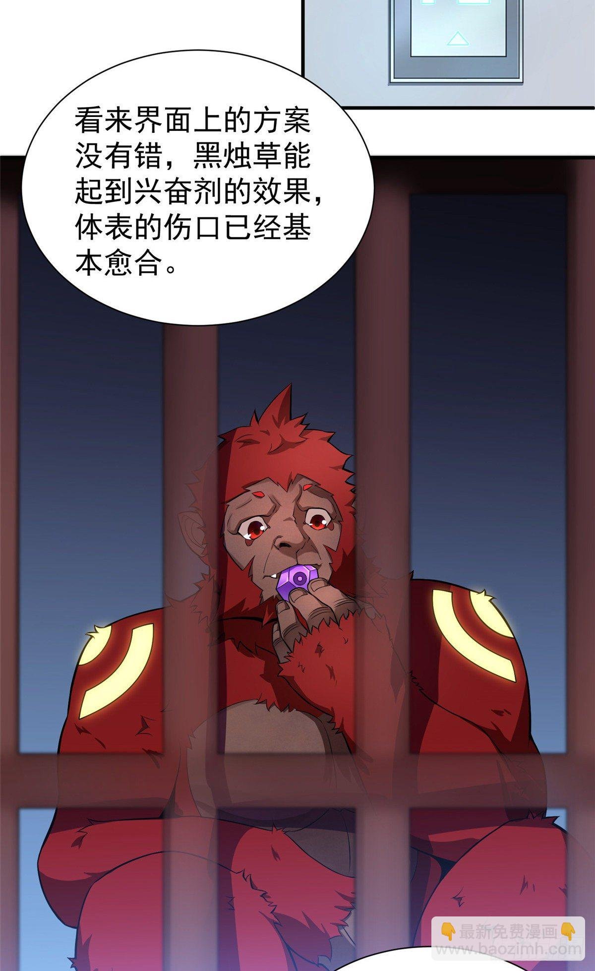 006 扭曲进化