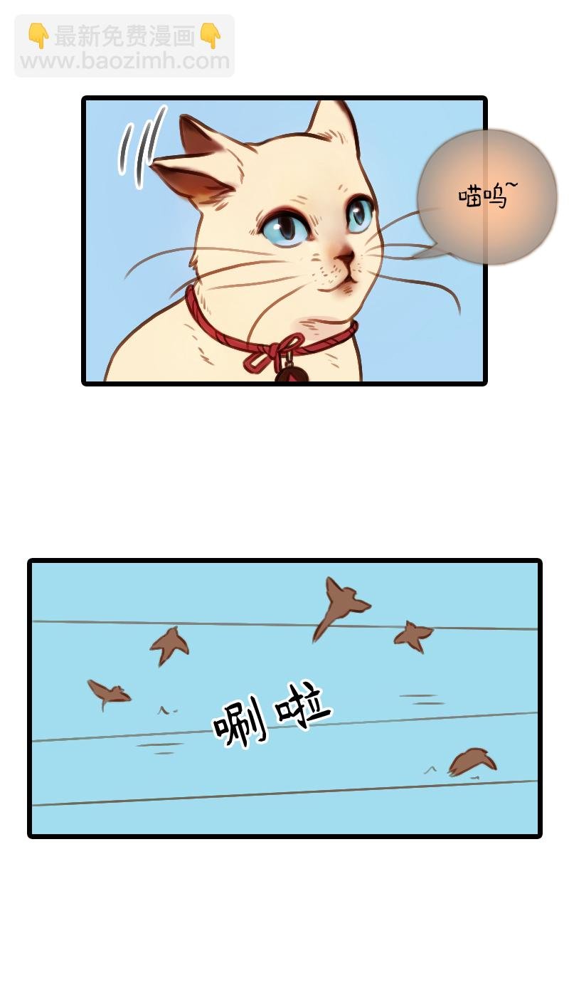 37.是球瑜伽哟（二）