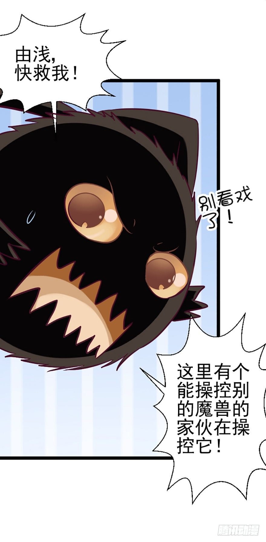 幻希兽与神风兽